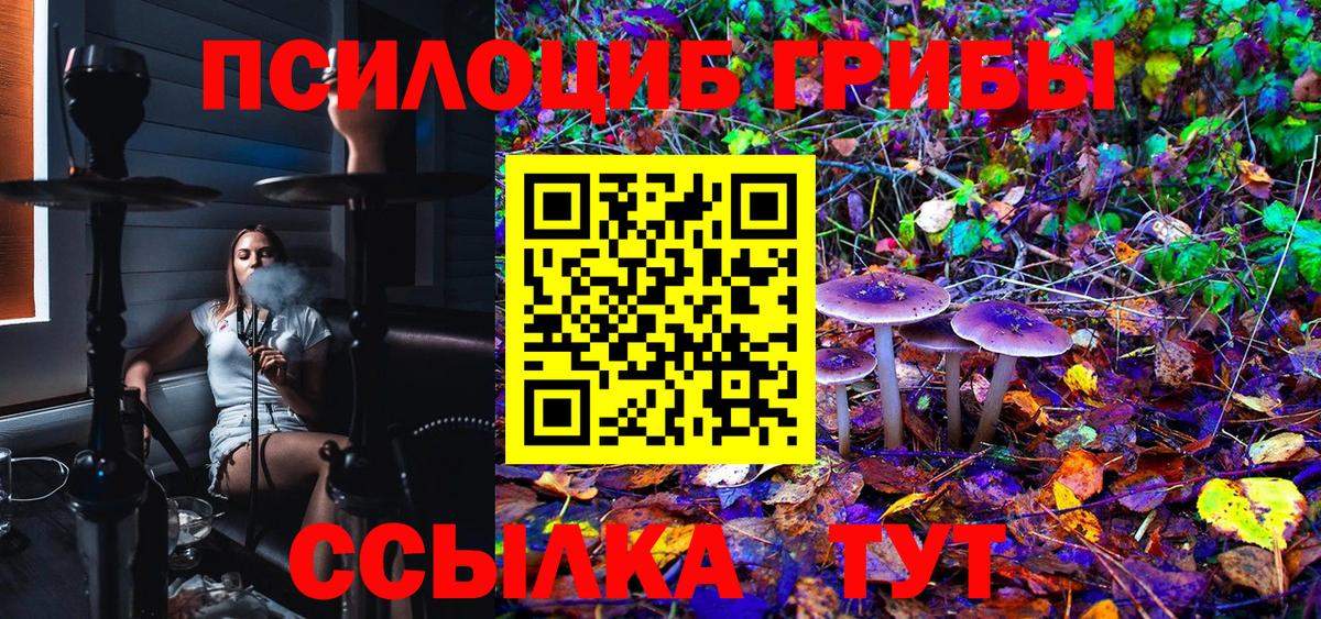 Галлюциногенные грибы Cubensis  Псилоцибиновые грибы Psilocybe  Вход с VPN  Тольятти 